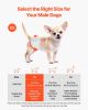 VEVOR Disposable Male Dog Diapers, Super Absorbent Male Dog Wraps, 360 ° Leak-Proof Belly Bands with Wetness Indicator for Doggies in Heat, Training